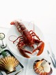 Breton lobster and scallops