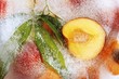 Peaches with leaves in block of ice (overhead view)