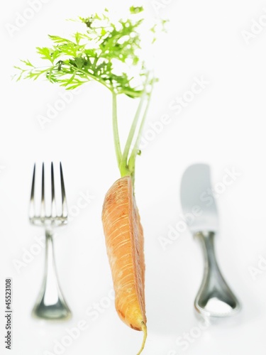 Photo: Knife and fork and half a carrot Knife and fork and half a carrot