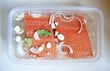 Marinating salmon