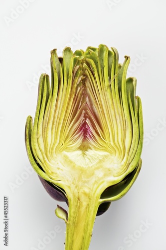 Photo: Half an artichoke on a white surface Half an artichoke on a white surface