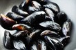 Mussels