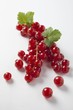 Redcurrants
