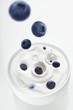 Blueberries falling into yogurt