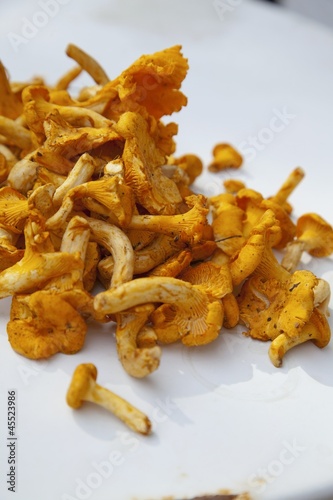 Photo: Fresh chanterelles, close-up Fresh chanterelles, close-up