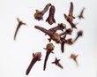 Cloves