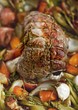 Beef shoulder fillet with herbs on a bed of vegetables