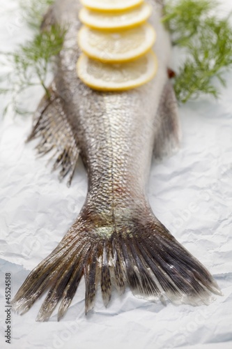 Photo: Zander with lemons and dill on parchment paper (detail) Zander with lemons and dill on parchment paper (detail)
