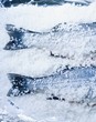Two bass in salt