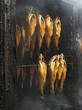 Trout being smoked