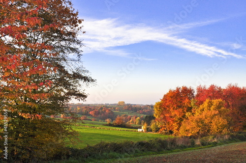Photo: Herbstwald Herbstwald