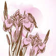 Vector: Floral card with watercolor iris Floral card with watercolor iris