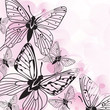 Beautiful vector background with  butterflies