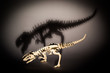 Tyrannosaurus rex
