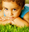 Small boy on green grass