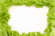 Frame made of salad