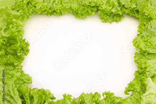 Photo: Frame made of salad Frame made of salad