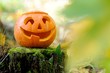 Halloween scary pumpkin in autumn forest