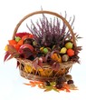 Autumn stuff