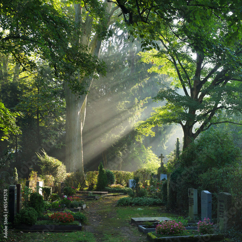 Photo: Bergfriedhof in Heidelberg Bergfriedhof in Heidelberg
