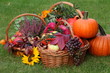 Colorful autumn