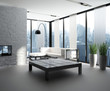 Exclusive Luxury Penthouse Interior | Loft