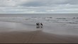 Video: girls riding horses on the beach girls riding horses on the beach
