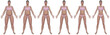 Weight Loss Progress Front View