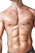 Fit torso