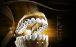 Teeth