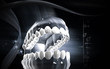 Teeth