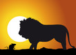Lion_rat
