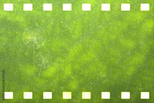 Illustration: Green nature film strip for adv or others purpose use Green nature film strip for adv or others purpose use