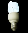 an energy saving light bulb
