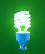 an energy saving light bulb