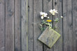 Altes Tor mit Blumenschmuck