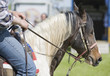 Raider and horse detail