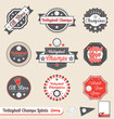 Vector Set: Retro Volleyball League Champs Labels and Stickers