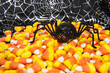 Halloween Spider with Candy Corn