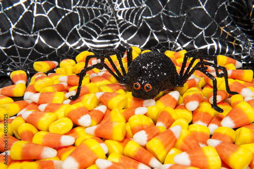 Photo: Halloween Spider with Candy Corn Halloween Spider with Candy Corn
