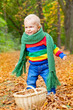 baby im herbst laufend