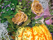 pumpkin and flowers