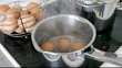 eggs boiling