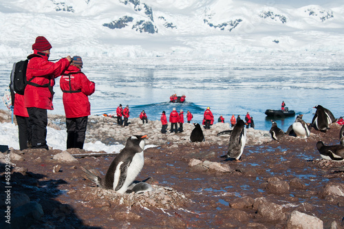 Photo: Picturing adelie penguins on the beach Picturing adelie penguins on the beach