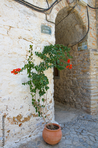 Photo: Streets of Mesta Village with flowers Streets of Mesta Village with flowers