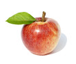 Gala, Apfel, Malus domestica,