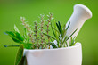 Fresh herbs in the mortar - alternative medicine