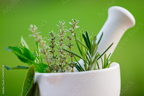 Photo: Fresh herbs in the mortar - alternative medicine Fresh herbs in the mortar - alternative medicine