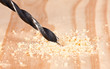 Foto: Hole in wood Hole in wood
