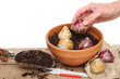 Hand planting bulbs